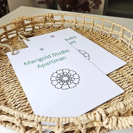 Marigold * Rijeka